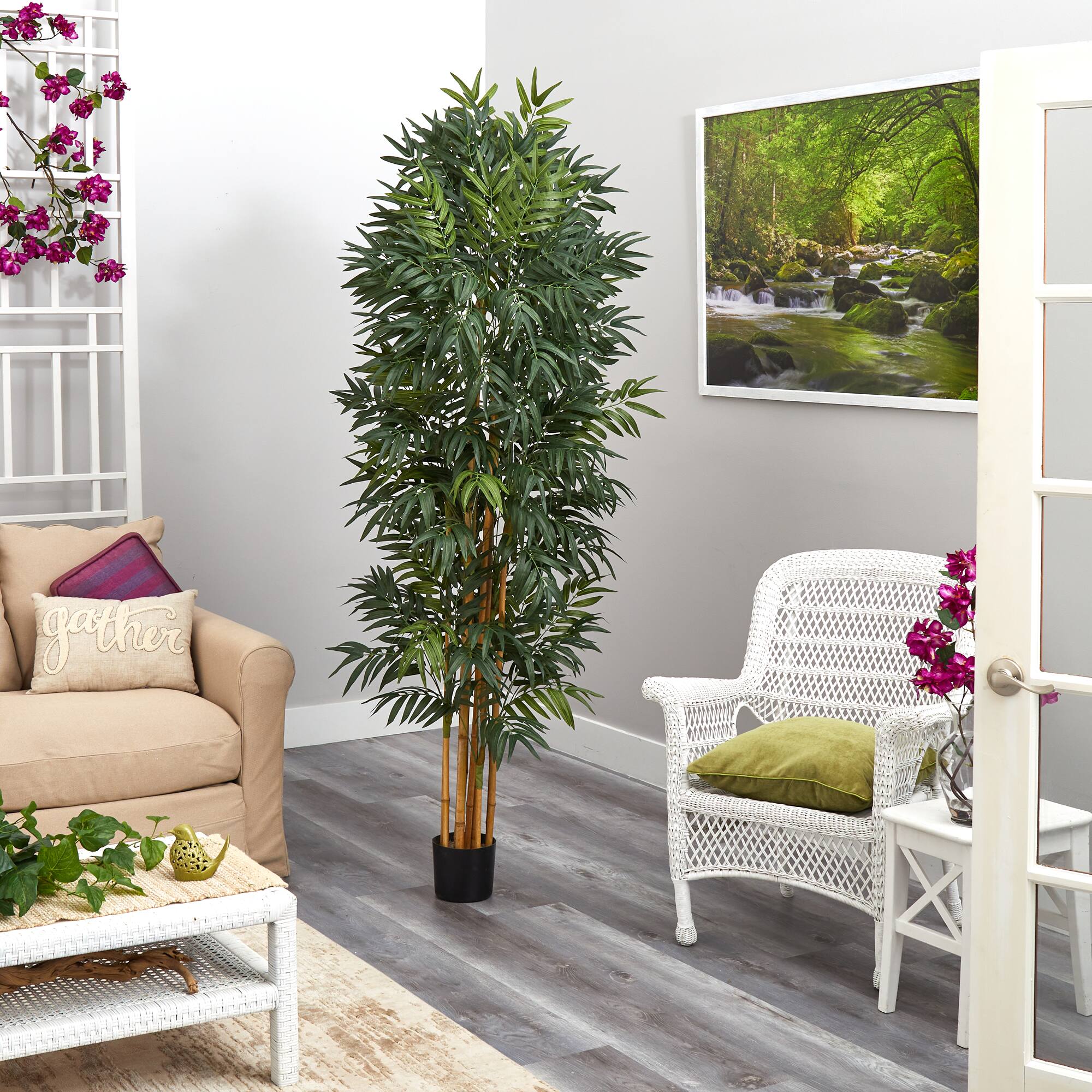 6.5ft. Phoenix Palm Tree with Natural Trunk